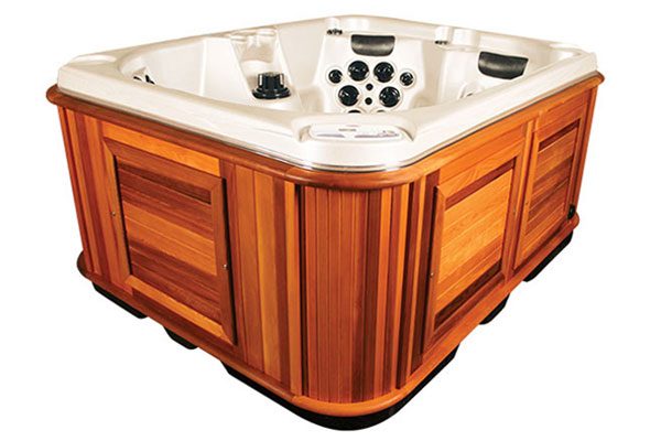 Arctic Spas Review